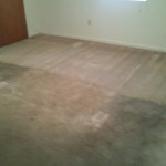 Hydra Clean Carpet Cleaning business image in Hattiesburg, MS